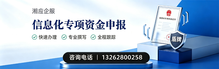 杭州信息化专项资金申报服务