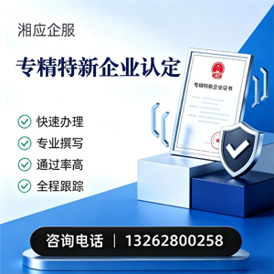 杭州专精特新企业申报服务