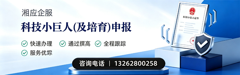 杭州科技小巨人及培育企业申报服务