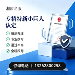 杭州专精特新小巨人申报服务