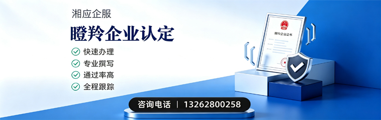 杭州瞪羚企业认定申报服务