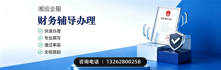 杭州财务辅导申请服务
