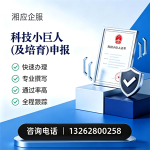杭州科技小巨人及培育企业申报服务