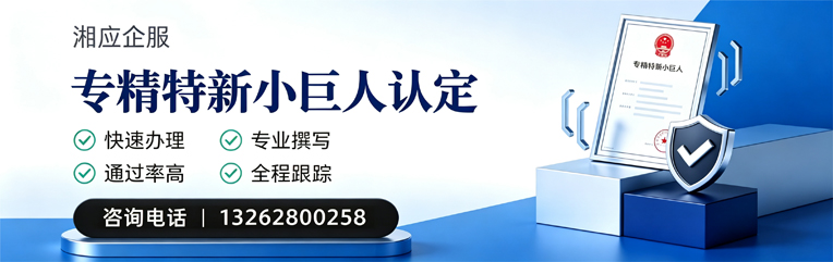 杭州专精特新小巨人申报服务